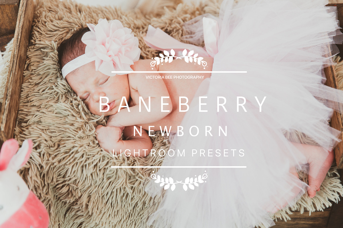 Desktop Lightroom Presets BANEBERRY preview 6