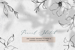 Fine Art Leaves Sketch& Illustration