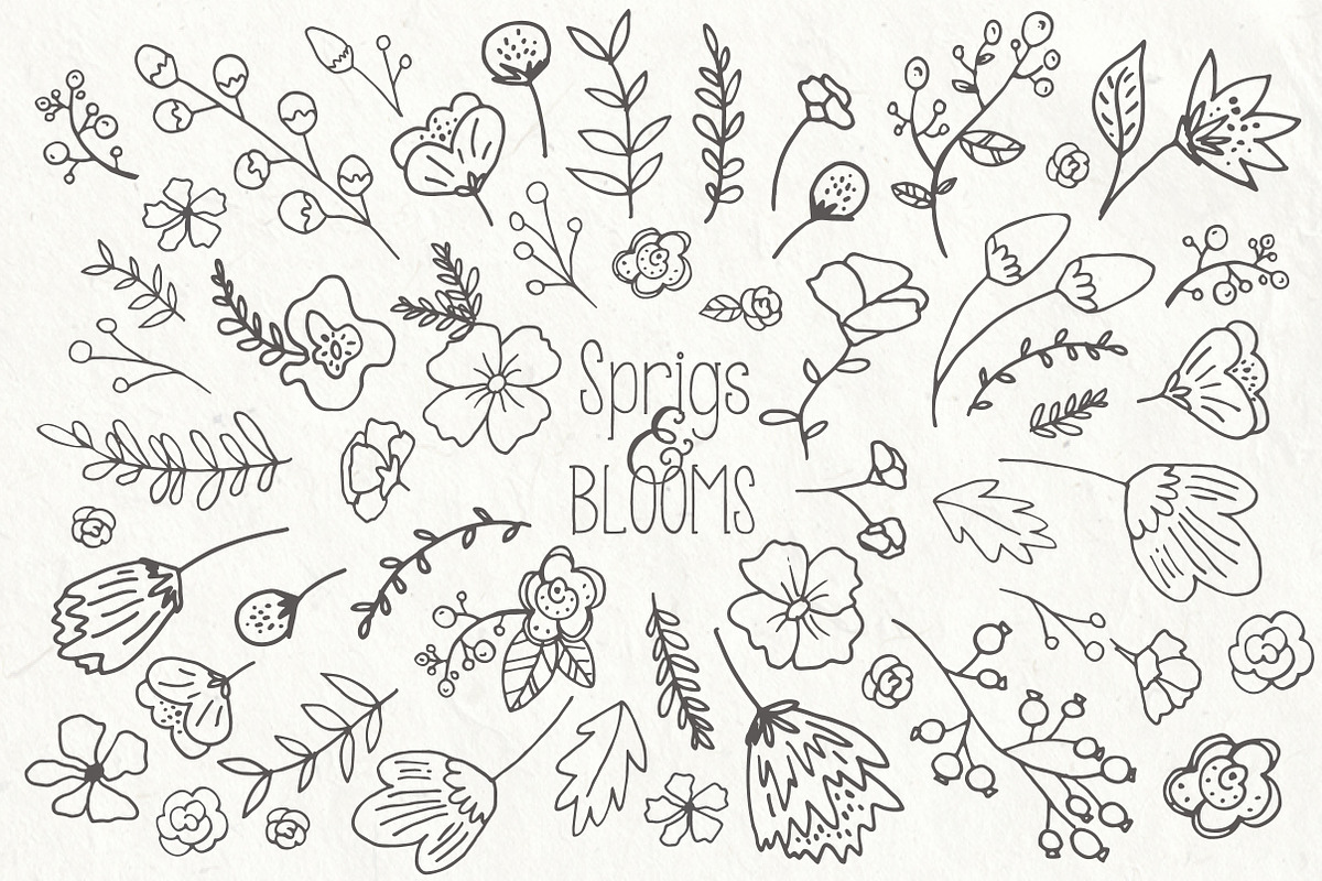 Sprigs & Blooms Clipart +Bonus Logos, an Object Graphic by The Pen and Brush (Photo 6 of 7)