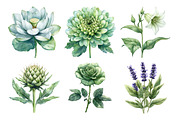 Watercolor Sage Floral Clipart, an Illustration by Daily.Designs (Thumbnail 5 of 5)