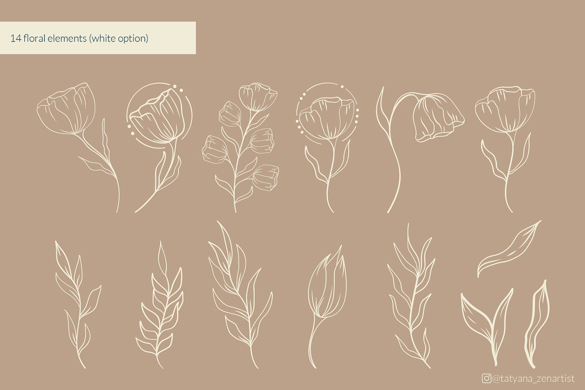 Botanical floral line art set, an Object Illustration by Tatyana_Zenartist (Photo 5 of 11)