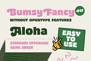 Bumsy, a Sans Serif Font by Flavortype (Thumbnail 3 of 13)