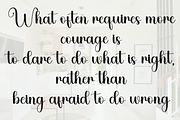Rustic Elegant, a Handwritten Font by FreshTypeINK (Thumbnail 2 of 8)