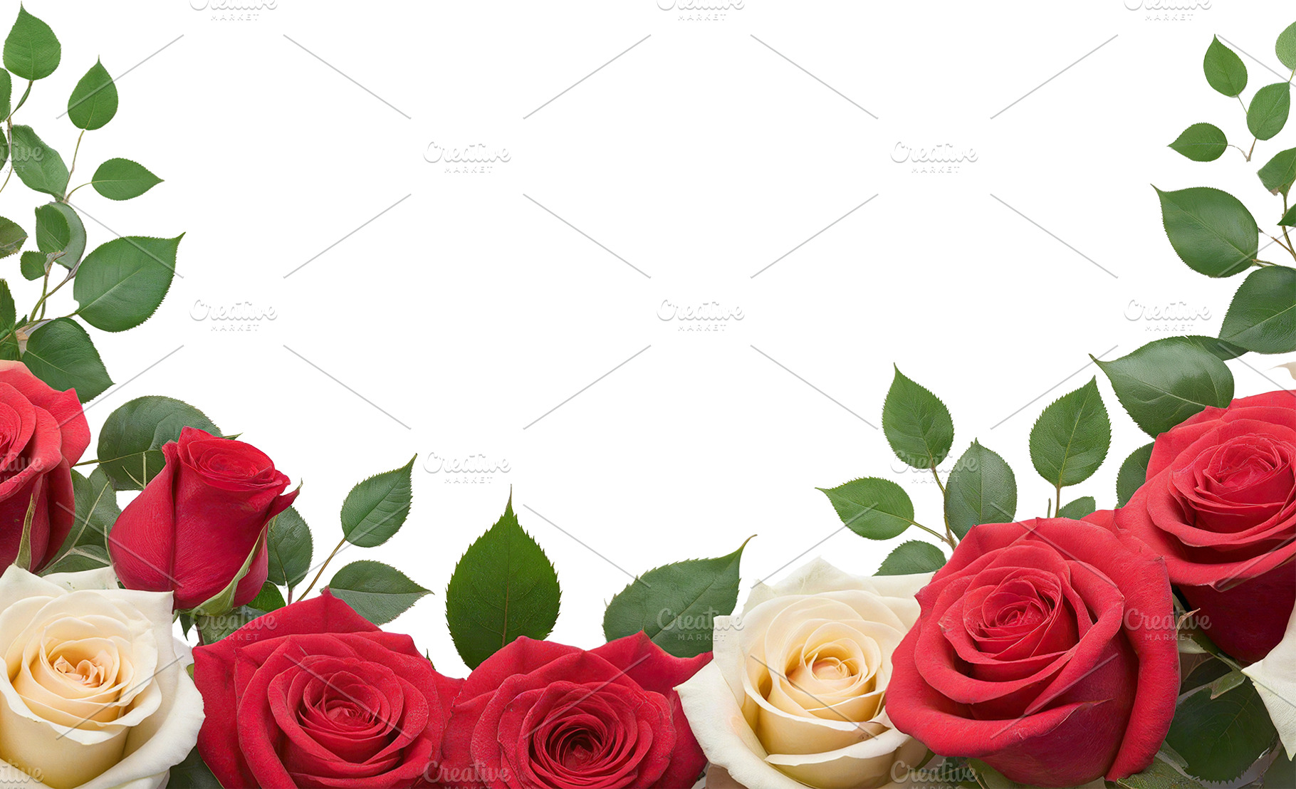 rose flowers transparent background, a Nature Photo by itakdalee
