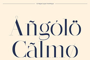 CS Regale – Elegant Serif Font, a Serif Font by Craft Supply Co. (Thumbnail 5 of 8)