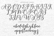 Cabelita Script, a Script Font by Genesis Lab (Thumbnail 8 of 11)