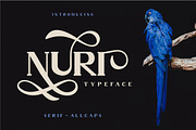Nuri Font, a Serif Font by PutraCetol Studio (Thumbnail 1 of 8)