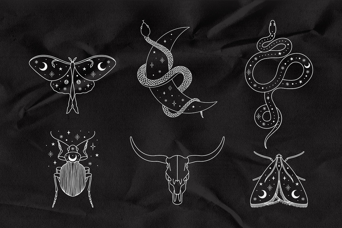 Mystic. Vector Set, a Texture Illustration by PatrushevaYana (Photo 8 of 12)