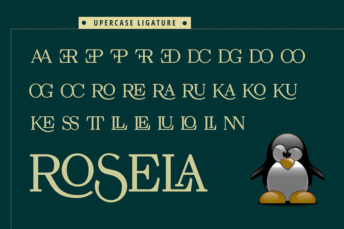 Rosela Elegant Serif Typeface, a Serif Font by Font Kingdom (Photo 3 of 10)