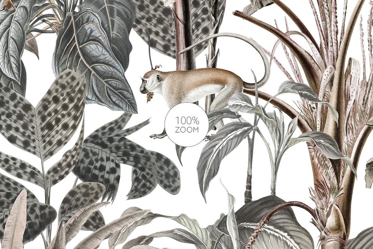 The Jungle, Exquisite Patterns, a Wallpaper Graphic by Pink Linen (Photo 5 of 10)