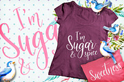 The Slowbird - Typeface, a Script Font by Layerform (Thumbnail 4 of 6)