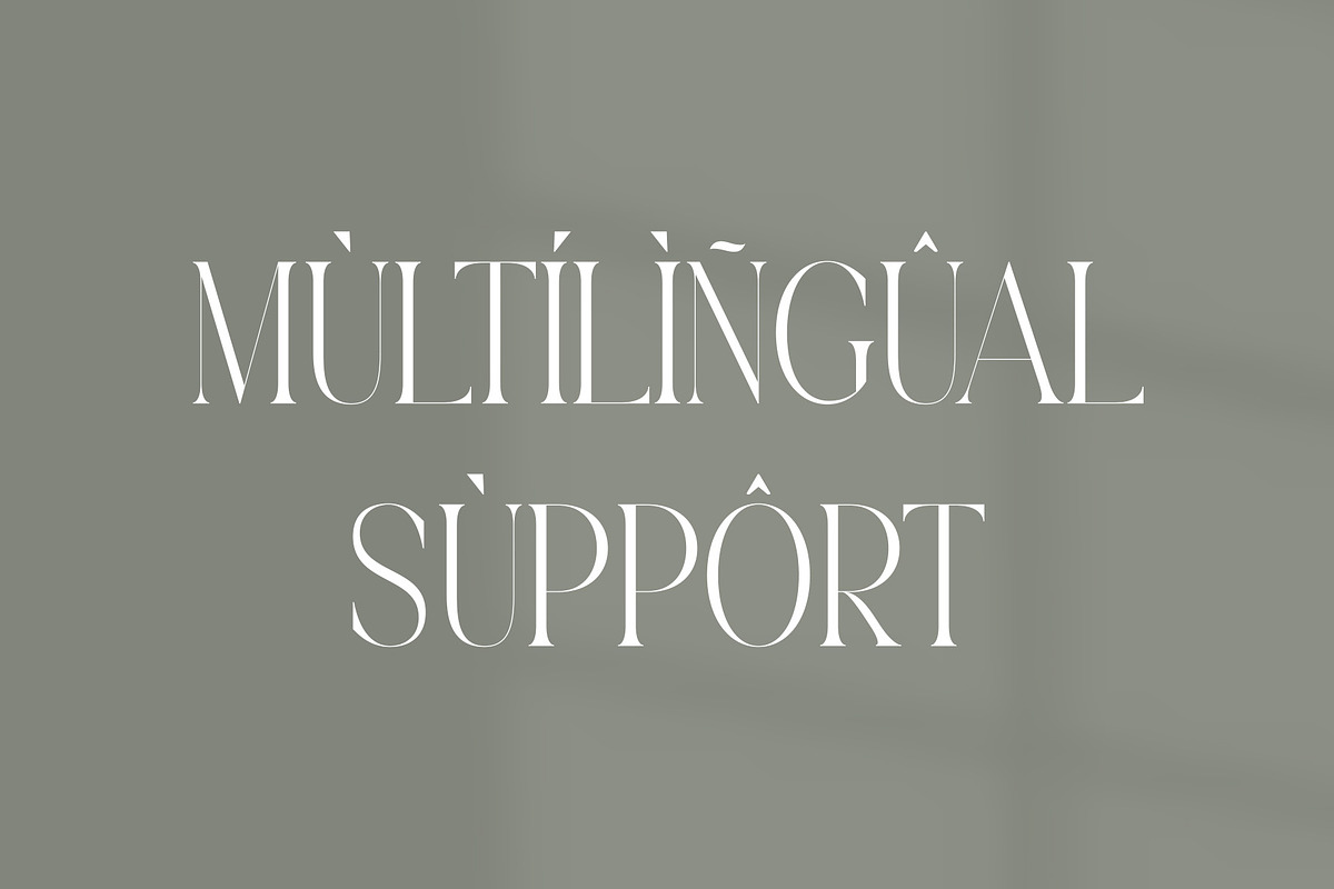 Castica - Modern Serif Font, a Serif Font by Aqeel_Art (Photo 9 of 12)
