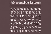 Persephone // A Hand-Drawn Serif, a Serif Font by Megs Lang (Thumbnail 16 of 25)