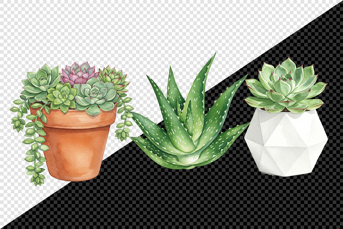 Watercolor Succulent Clipart, an Illustration by Creative Art (Photo 6 of 10)