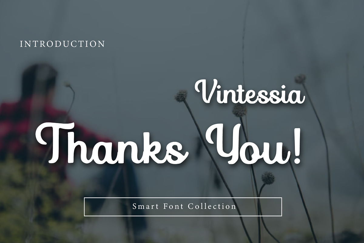 Vintessia, a Script Font by Wow Magic (Photo 3 of 3)
