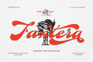 Fantera, a Script Font by Alcode