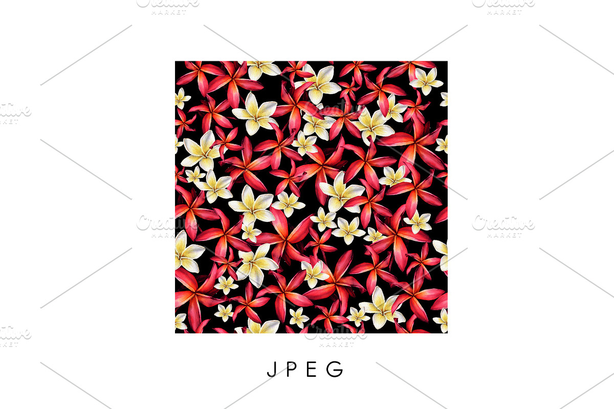 Seamless tropical patterns, a Pattern Graphic by ollalya (Photo 9 of 17)