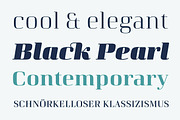 Curve, a Serif Font by fontador (Thumbnail 2 of 8)