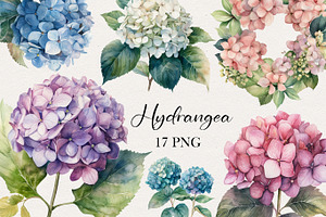 Watercolor Hydrangea Clipart. AI, a Decorative Illustration by BonbonnyDesigns