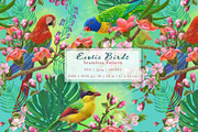 Exotic birds seamless pattern, a Pattern Graphic by Alena Lazareva (Thumbnail 1 of 9)