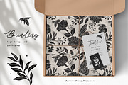 Shadow Garden Vector Collection, a Decorative Illustration by rouxsupplyco (Thumbnail 10 of 17)