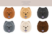 Chow chow (longhaired) clipart, an Animal Illustration by pet design shop (Thumbnail 4 of 9)