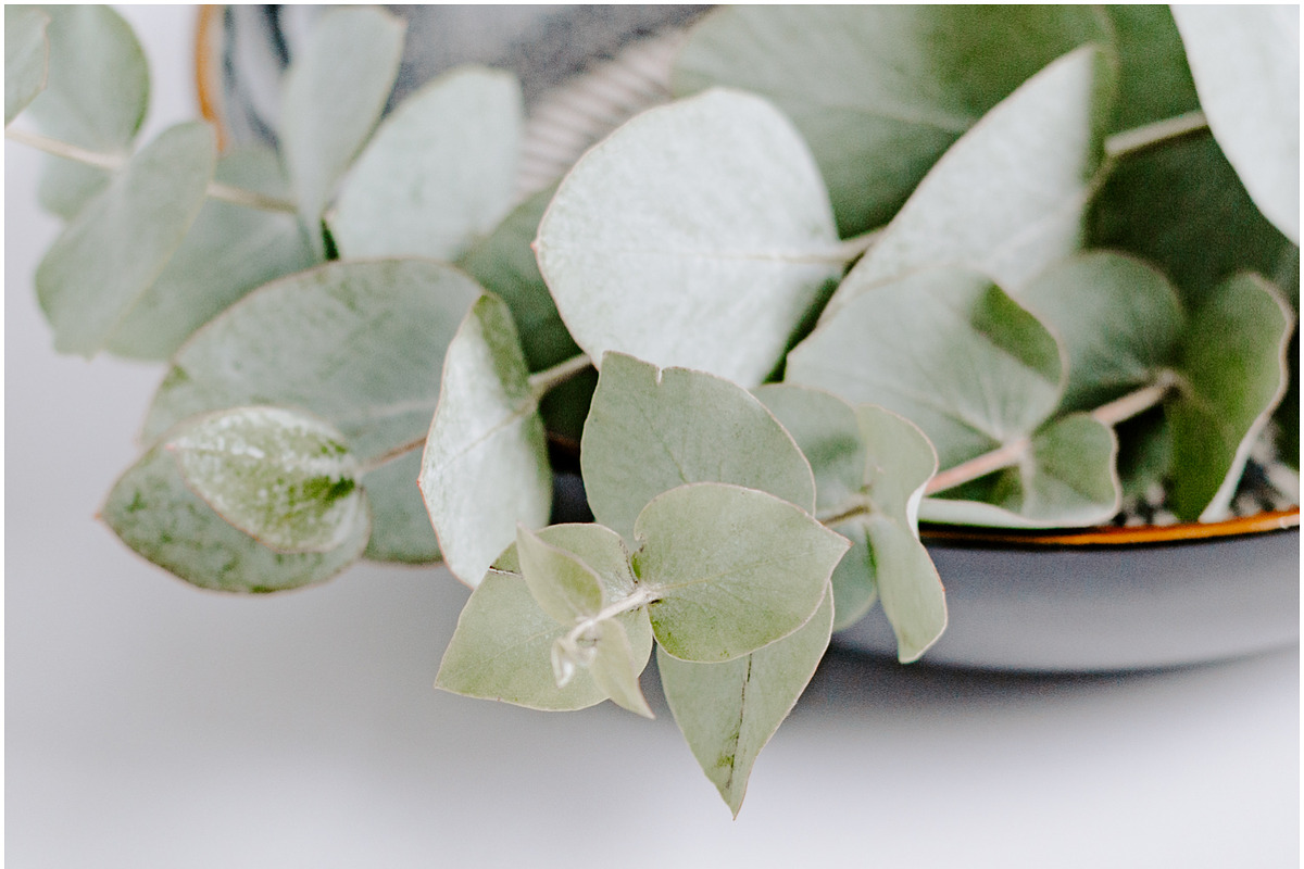 Eucalyptus Bundle, a Product Mockup by Peppermint &Tea (Photo 3 of 8)