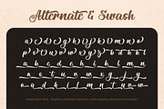 Amsterdam, a Handwritten Font by Mozatype (Thumbnail 9 of 10)