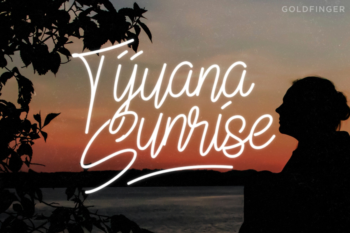 Monoline Script Collection - 3 Fonts, a Script Font by Twicolabs Fontdation (Photo 9 of 10)
