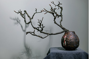 Minimalist Bonsai Branch In Ceramic, an Arts & Entertainment Photo by Natasha Breen