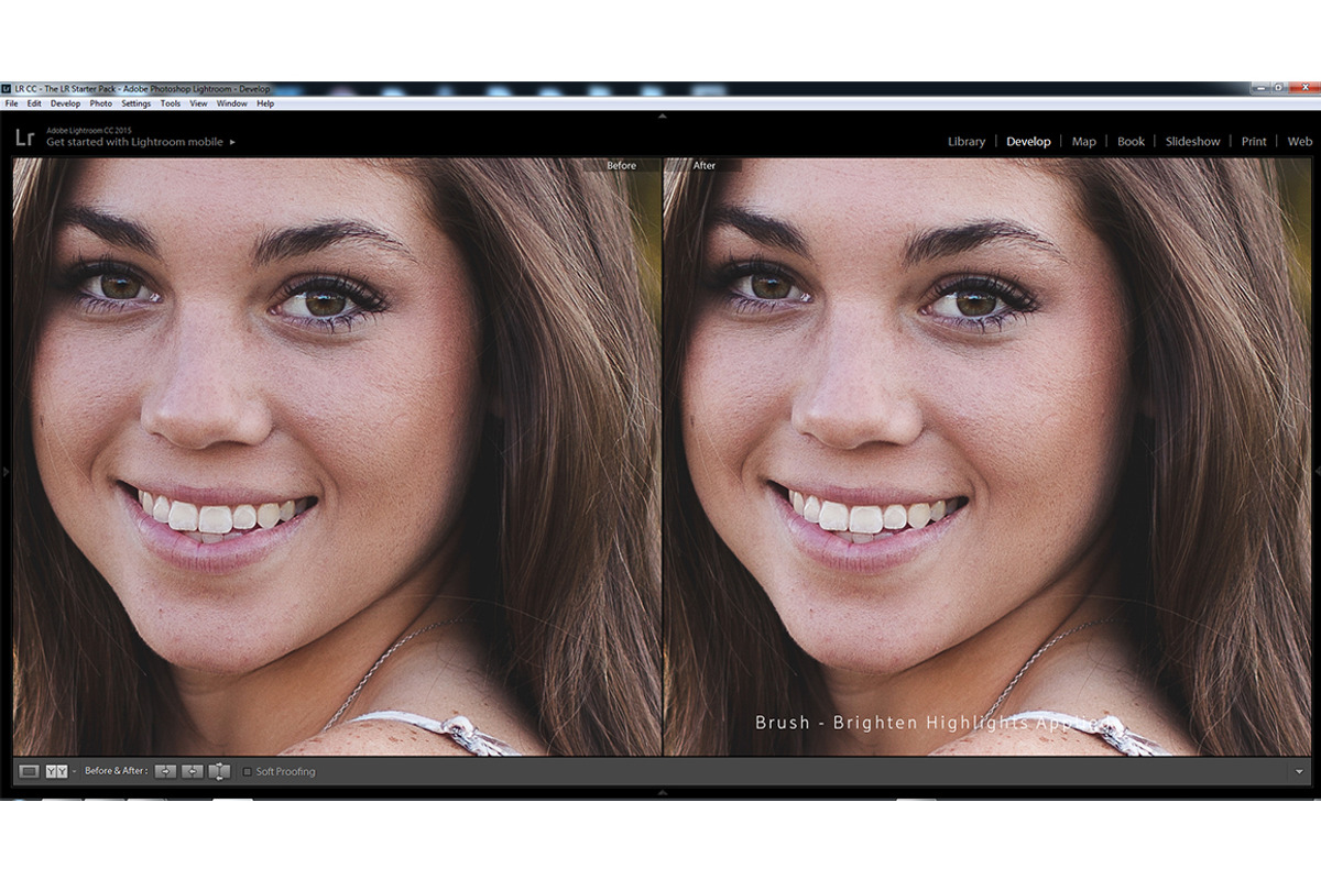 Essential Lightroom Brush Presets preview 4