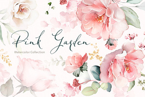 Pink Watercolor roses