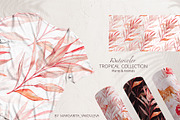 Tropical Collection Watercolor, a Decorative Illustration by Yakovleva Margarita (Thumbnail 15 of 20)