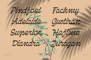 NCL Qanproy Woldriug, a Script Font by Enxyclo Studio (Thumbnail 12 of 19)