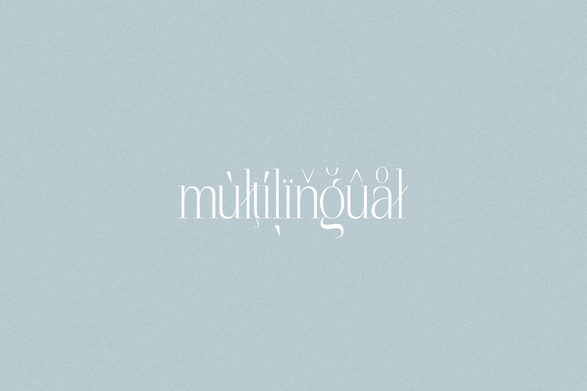 SUNLINE - Condensed & Elegant Serif, a Serif Font by Misha Sova (Photo 8 of 8)