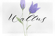 Waltus, a Script Font by vuuuds (Thumbnail 1 of 6)