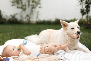 Beautiful happy baby and cute dog playing with toys while lying, a Person Photo by Sonjachni