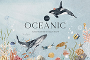 OCEAN Undersea Coral reef animals, an Animal Illustration by Grace Noboa Illustrations (Thumbnail 1 of 15)