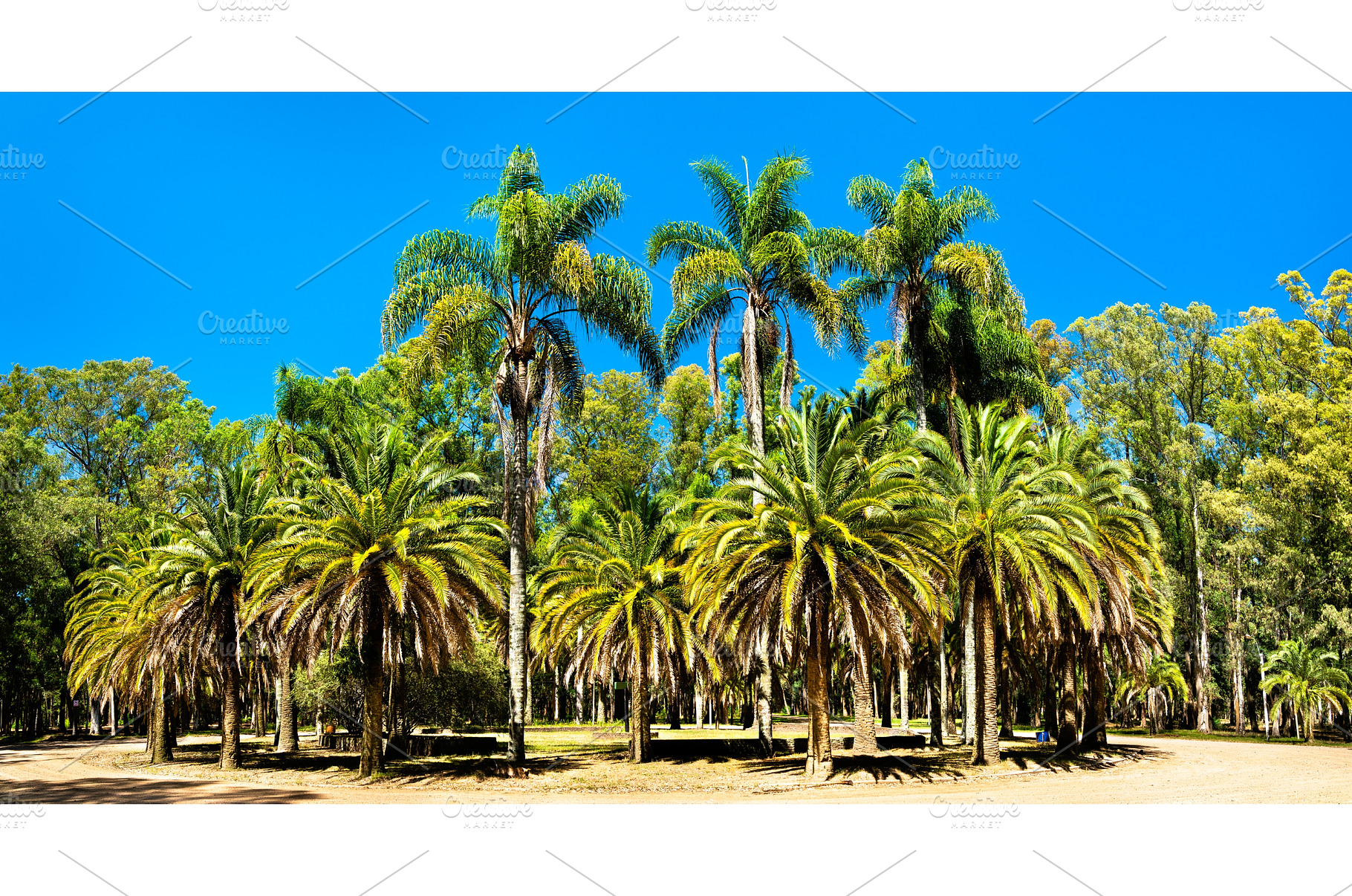 Franklin Delano Roosevelt park near, a Nature Photo by Leonid Andronov