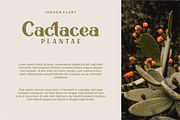 Signesha Elegant Typeface, a Sans Serif Font by 24Design Studios (Thumbnail 5 of 10)