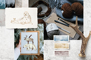 Hand drawn Arctic animals collection, an Animal Illustration by handsketched (Thumbnail 2 of 10)