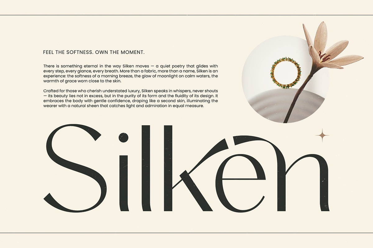 Amira Monte Elegant Display Font, a Sans Serif Font by timelesstype.co (Photo 3 of 20)