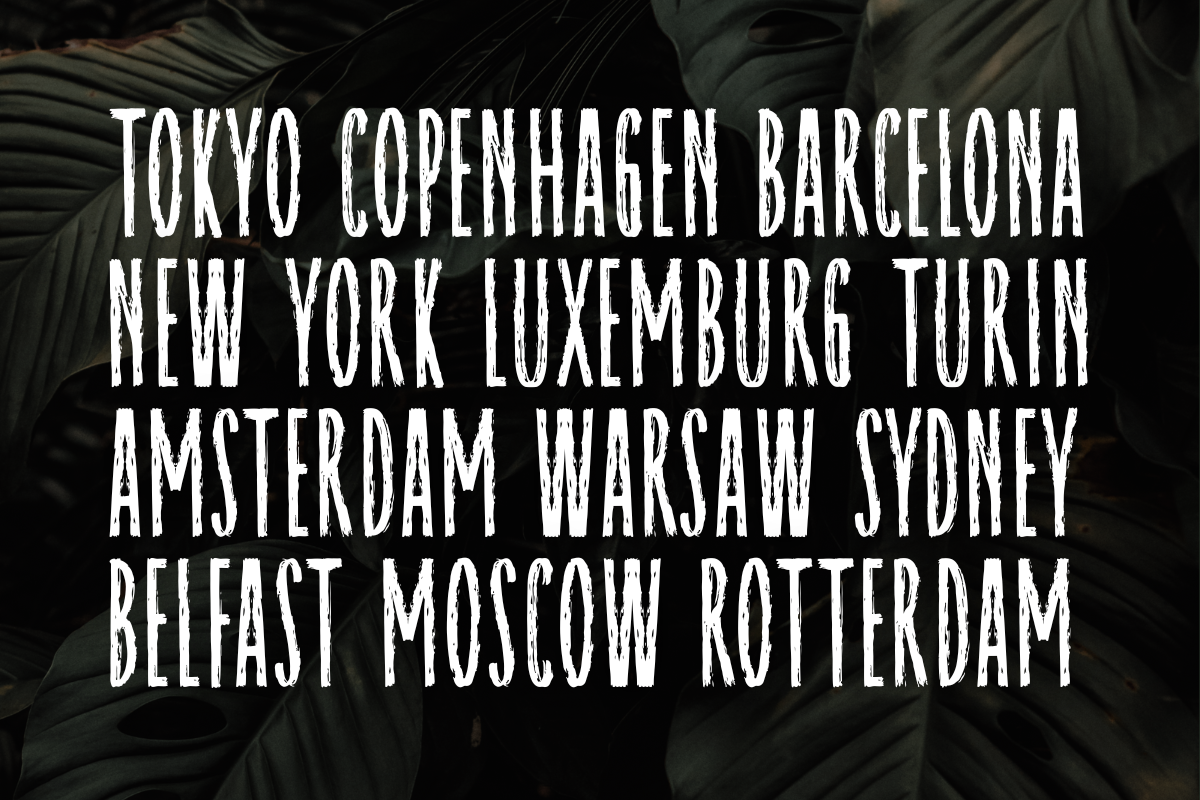Raynexter – Condensed Brush Font, a Sans Serif Font by Fikryal Studio (Photo 10 of 11)