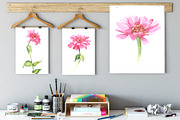 Pink flowers watercolor, a Decorative Illustration by Colibri Watercolor (Thumbnail 5 of 9)