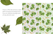 Linden tree leaves and seeds, a Pattern Graphic by Contes_de_fée (Thumbnail 4 of 9)