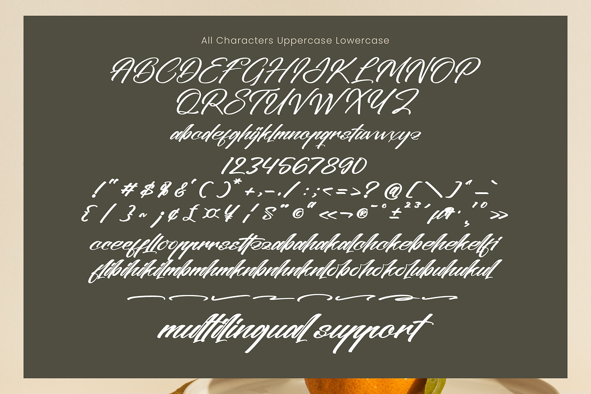 Actualized, a Handwritten Font by operatype.co (Photo 8 of 8)