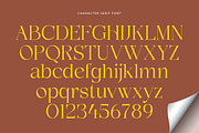 Demetras, a Serif Font by Propertype (Thumbnail 8 of 10)