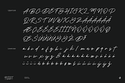Boulevard Signature, a Handwritten Font by Aluyeah Studio (Thumbnail 13 of 15)