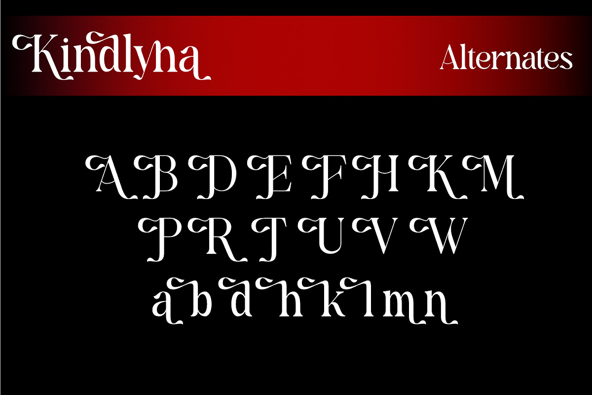 Kindllyna - Modern Serif Font, a Serif Font by Rishsketch (Photo 11 of 13)