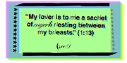 False Idol, a Script Font by Barnbrook Fonts (Thumbnail 5 of 5)